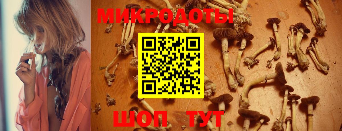 Шебекино  Галлюциногенные грибы Psilocybine cubensis  Псилоцибиновые грибы мицелий  Вход с VPN 