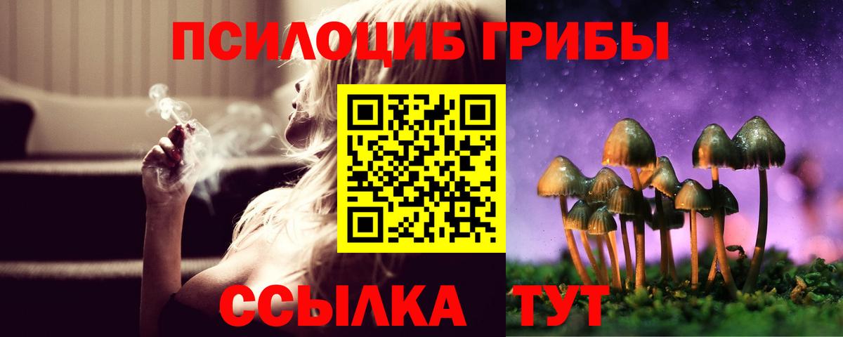 Галлюциногенные грибы Cubensis Шебекино